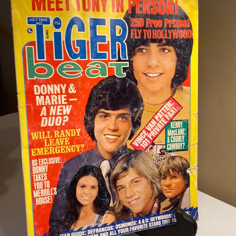 Vintage Tiger Beat July 1974 Magazine